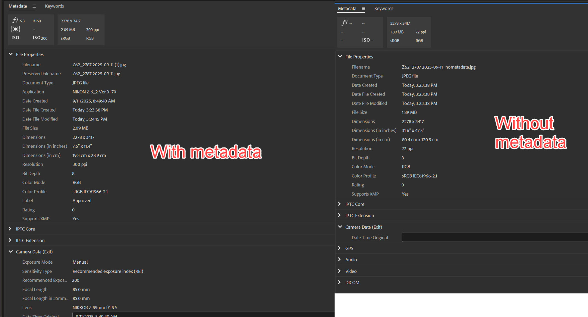 With & Without metadata With & Without metadata